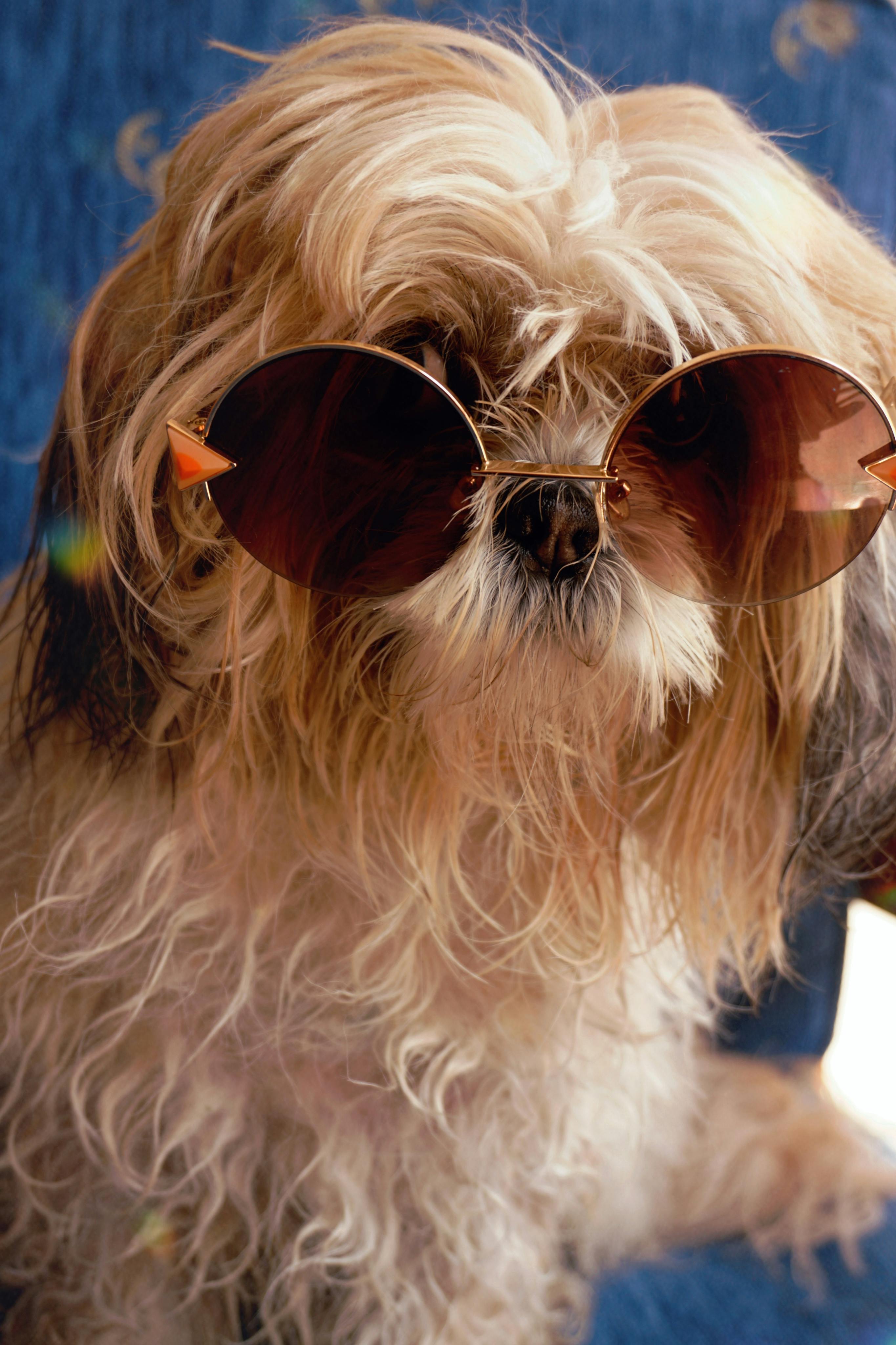 lentes